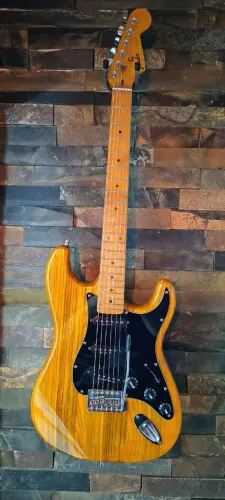 Guitarra Fender Ash Luthier! LEIA O ANUNCIO, vale a pena!