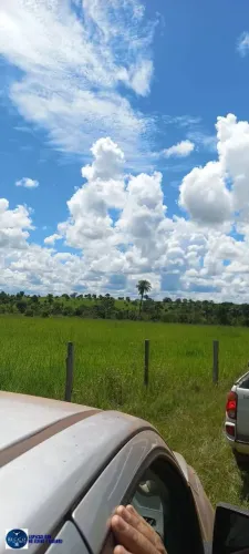 Fazenda de 75 Alqueires à venda na região de Mozarlândia, Goiás