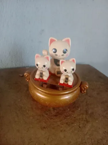 Gatinhos chama Dinheiro 