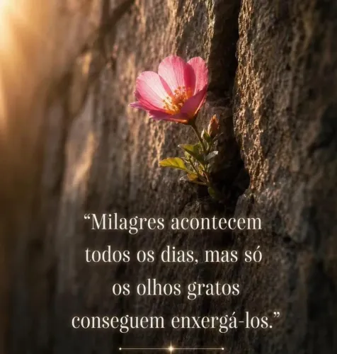 Sou cuidadora de idosos e pacientes internado plantão ou residência
