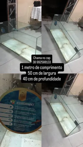 Aquario grande