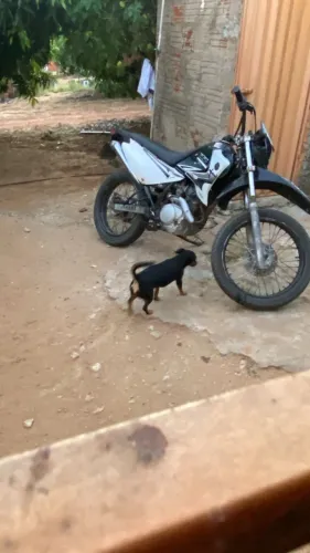Moto