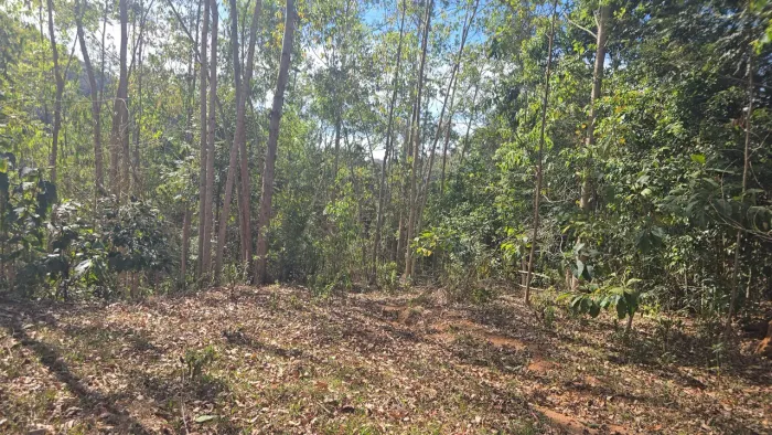 Sitio Tijuco preto Domingos Martins Energia, água, parcelo pego veículos mesmo LEILÃO