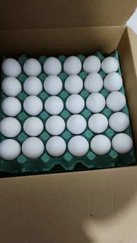30 Ovos Extra branco
