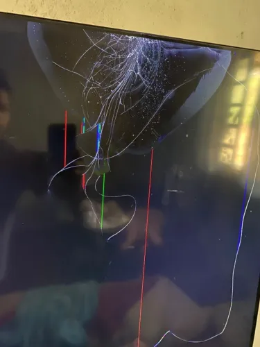 Televisão