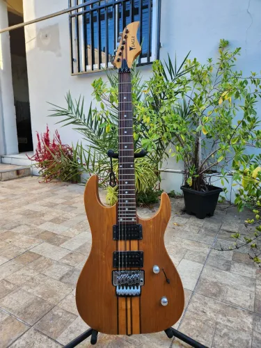 Guitarra Eagle Corpo único