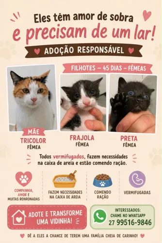 Adoção Responsável !