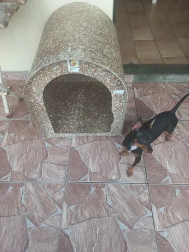 Casinha para cachorro