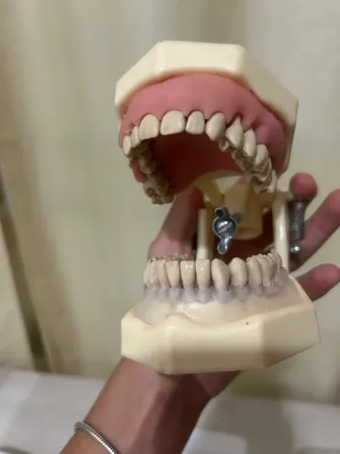 VENDO MANEQUIM DE PERIODONTIA