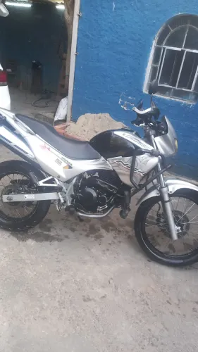 Vendo falcon