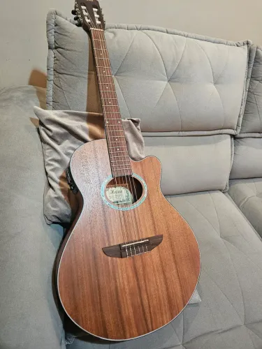 Violao eletrico