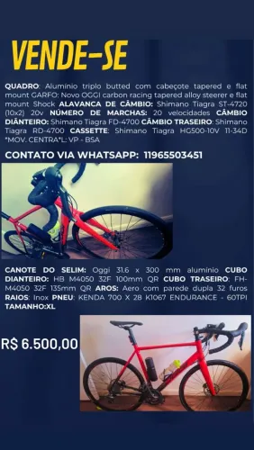 Speed OGGI STIMOLLA DISC TIAGRA- TAM 56