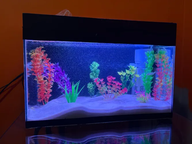 Aquário 30L