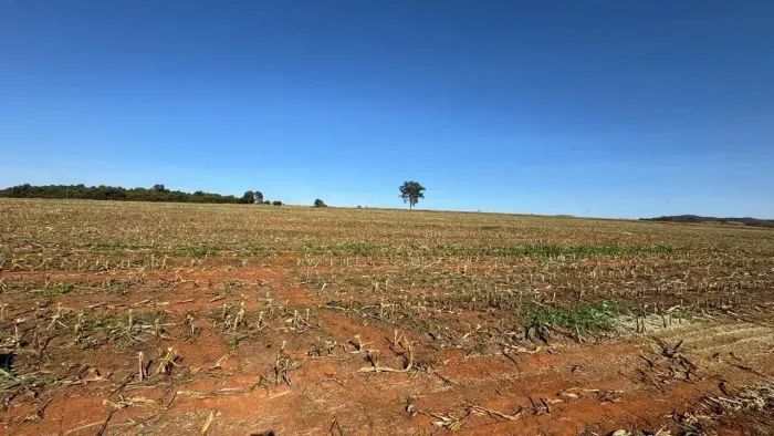 Fazenda a venda - Pontalina - GO