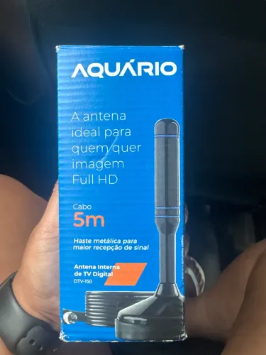 Antena interna