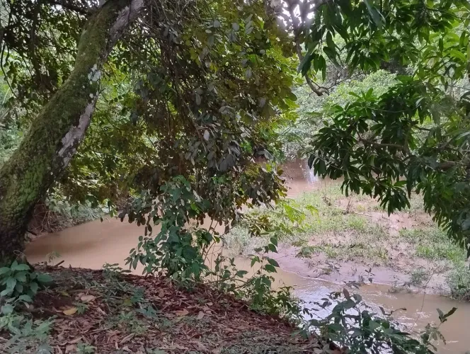 Chácara à venda 5600M², BR 153, Hidrolândia - GO