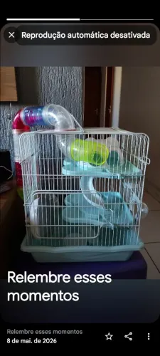 Casinha pra ramester tpo