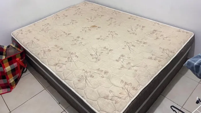 Cama