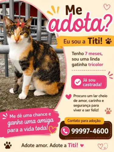 LINDA TRICOLOR