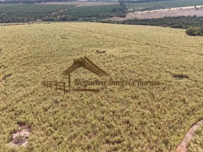 Fazenda com 39 alqueires na região de Avaré-SP