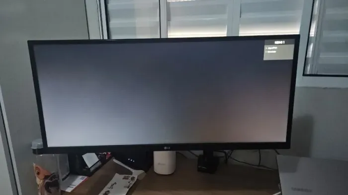 Monitor LG UltraWide 29" IPS 75Hz - Usado (Excelente Estado)