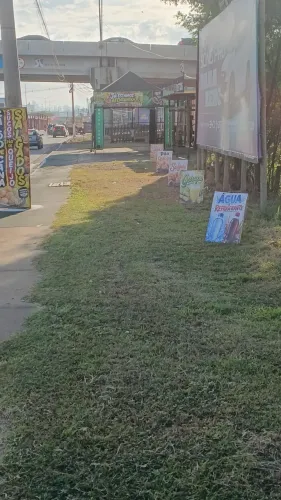 Salgaderia pra alugar água de coco