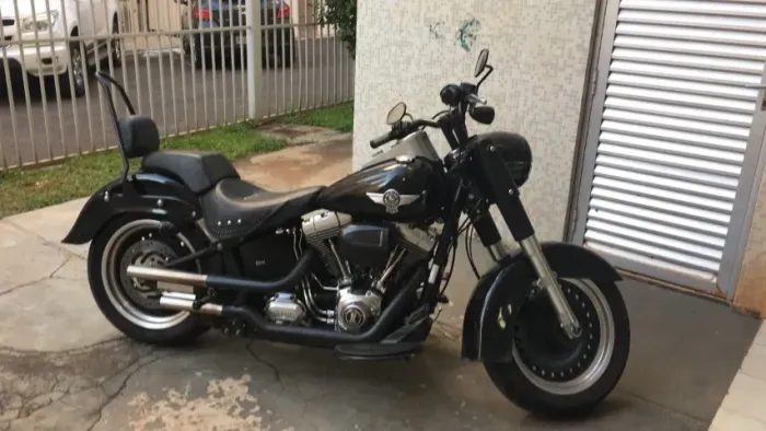 Paralama Dianteiro Harley Davidson Original