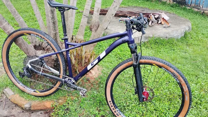 Bicicleta GT avalanche 29