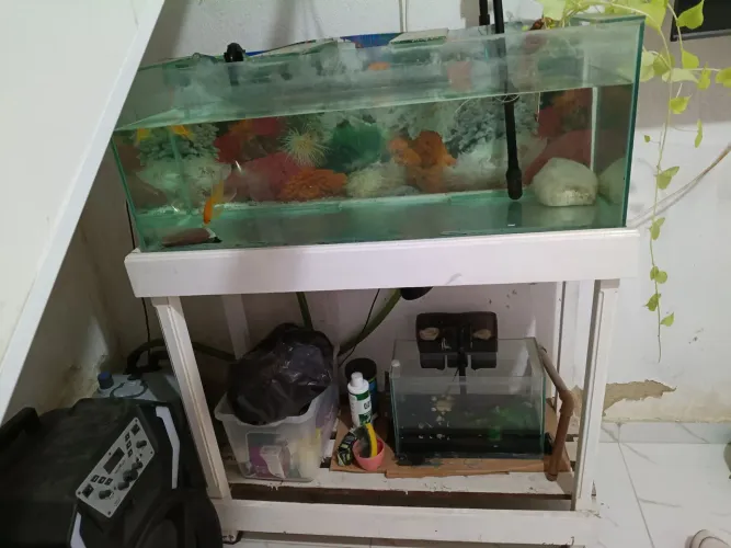 Aquário completo