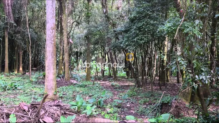 Terreno Rural situado na localidade de Santa Catarina, no Município de Santa Rosa de Lima