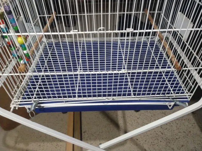 Gaiola para calopsitas