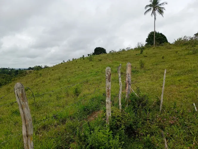 Terra (Pasto) Bom Jardim