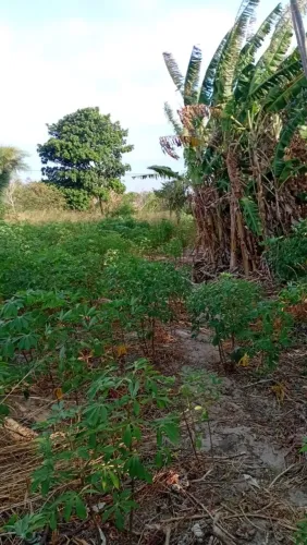 Troco lote de 10 por 20 em moto 