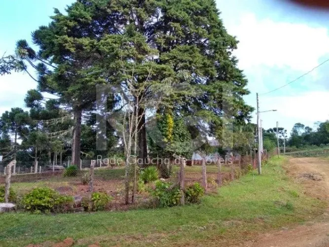 Venda de Terreno em São Francisco de Paula-RS, bairro Vila Eletra