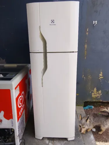 Geladeira fost free 220w R$ 699
