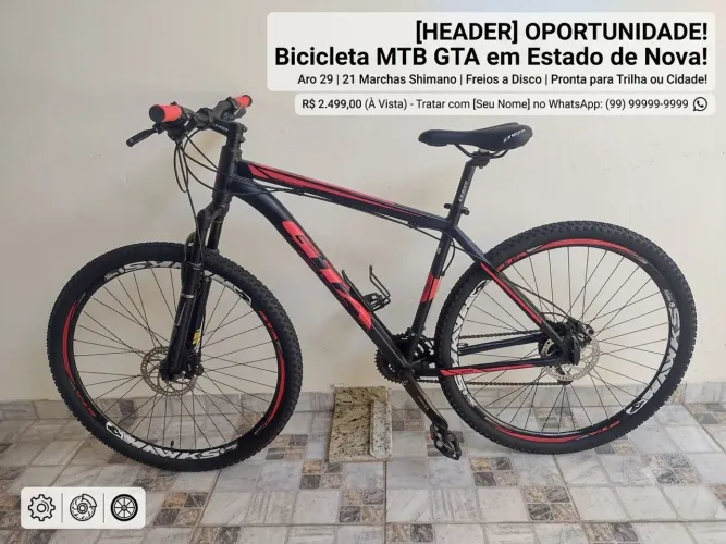 Bicicleta