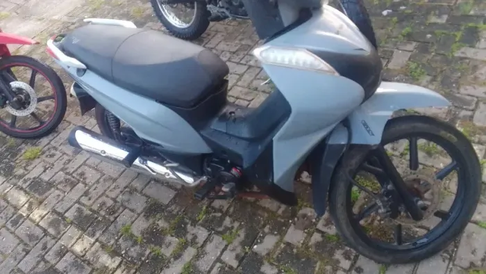 SHINERAY XY125-6A 2025/2025