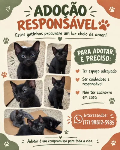 ADOÇÃO RESPONSÁVEL