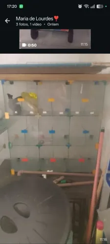 Bobomjack porta bombom de vidro