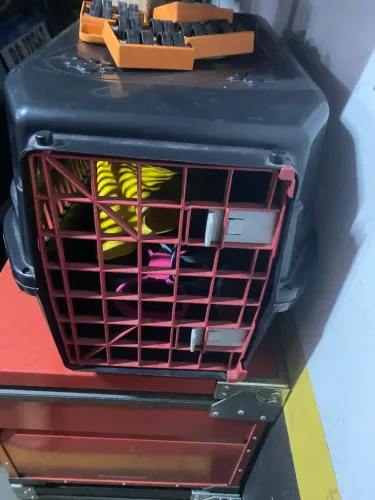 Casinha novíssima