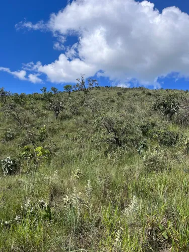 Terreno rural 9 hectares Vargem Bonita MG - ativo ambiental