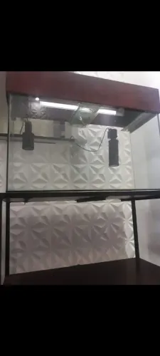 Aquário