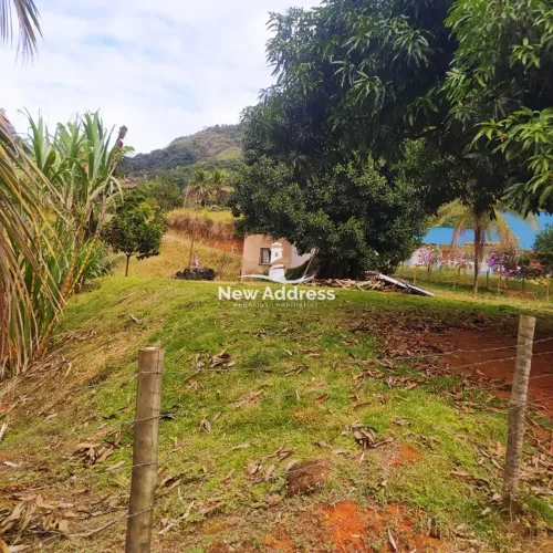 Chácara à venda em Pedra Mulata - Viana