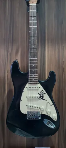 Guitarra Dolphin Stratocaster