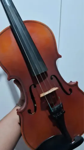 Violino Acústico com case