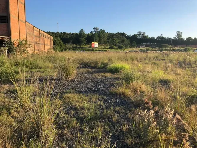 Terreno/Área Industrial ou Comercial 2000m² - Tabaí - NSR