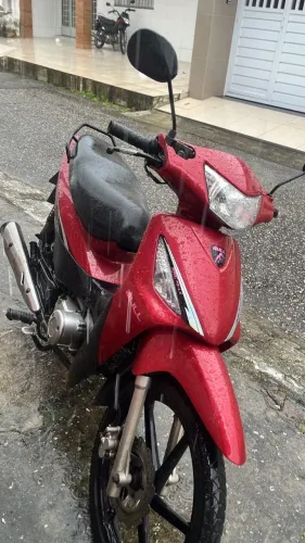 Bull 50cc 2014