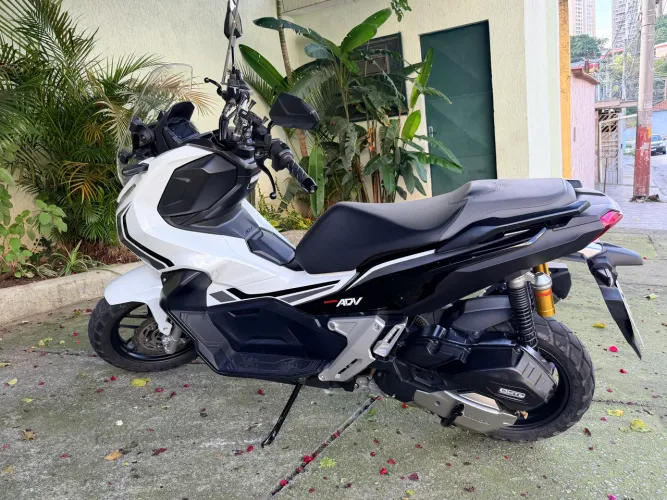 Adv 2022 Branca