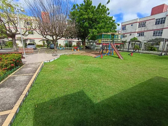 Apartamento térreo com 3 quartos, em Capim Macio