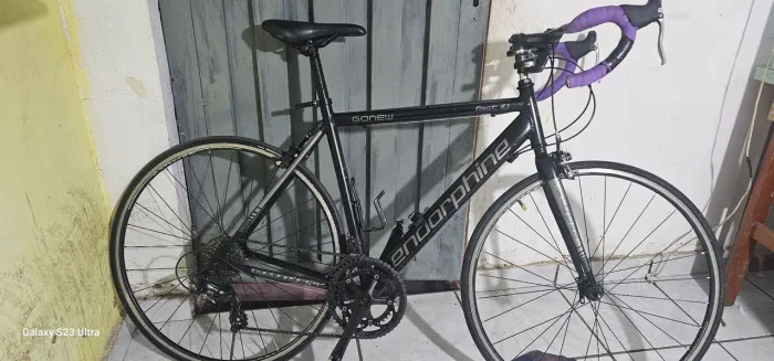 Speed endorphine